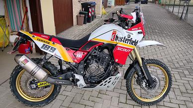 T7 RALLY 2022