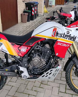 T7 RALLY 2022