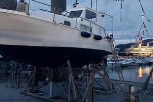 9 mt linea asse vm 140 hp