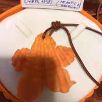 Splendida collana fatta con conchiglia