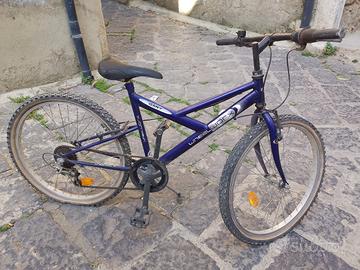 bicicletta 