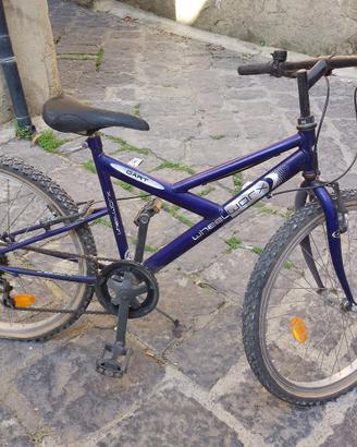 bicicletta 