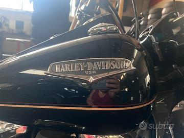 Harley Davidson custom