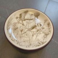 Ceramica Tognana WWF