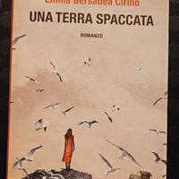 Libro: una terra spaccata Emilia Bersabea Cirillo
