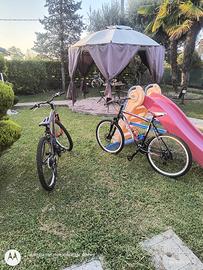 Bici MTB