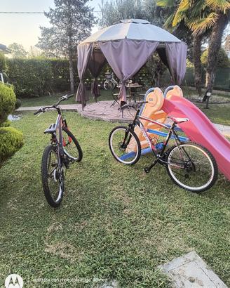 Bici MTB