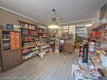 Attivita commerciale