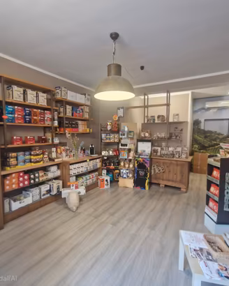 Attivita commerciale