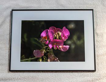 Fotografie artistiche incorniciate