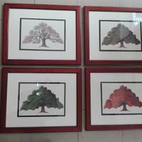 Pz 4 quadri cornici quercia vallonea tricase