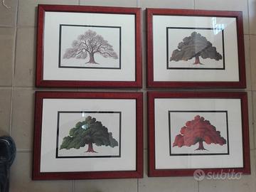 Pz 4 quadri cornici quercia vallonea tricase