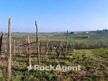 CASA+GRANDE PORTICO+CASA AGRICOLA+TERRENO IN UNICA