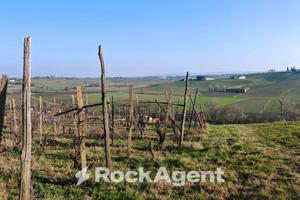CASA+GRANDE PORTICO+CASA AGRICOLA+TERRENO IN UNICA