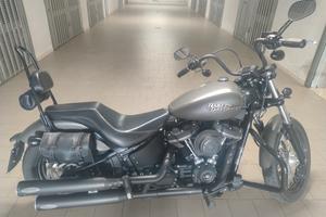 Harley-Davidson Softail Street Bob - 2019