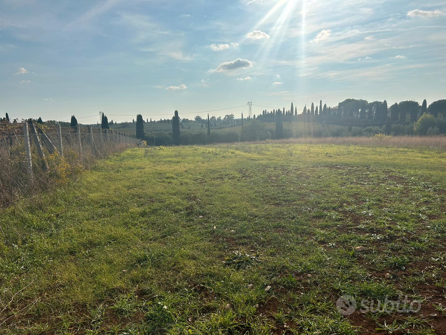 Terreno con uliveto stazione Campoleone - Vista 3
