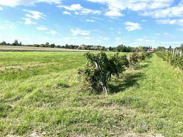 STARANZANO: TERRENO AGRICOLO