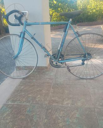 Bianchi da corsa vintage in acciaio