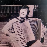 FISARMONICA DALLAPE 37/96 CASSOTTO