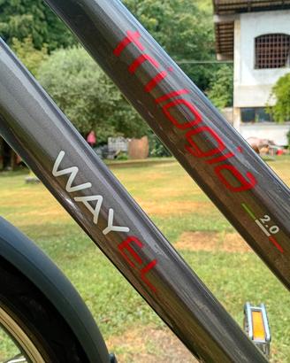 Ebike bicicletta elettrica batteria nuova garanzia