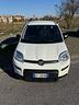 fiat-panda-1-0-firefly-s-s-hybrid-solo-20-000km-