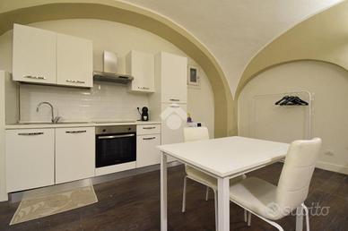 MONOLOCALE A TORINO