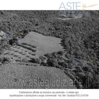 Terreno Agricolo Marsciano [A4331826]