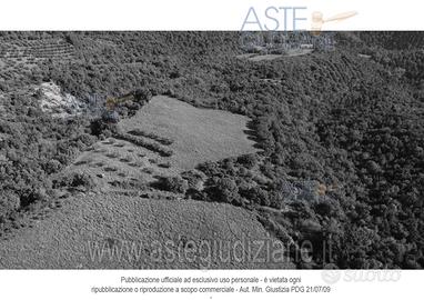 Terreno Agricolo Marsciano [A4331826]