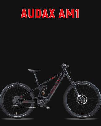 Mtb Garelli audax am1