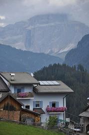 Bilocale libero fino all'11 luglio e da settembre