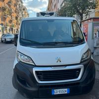 Peugeot boxer isotermico con gruppo frigo zanotti