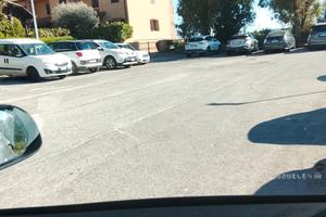 panda Hybrid benzina 1.00