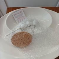 Antipastiera Brandani