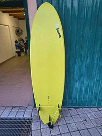 Tavola da surf Torq Fish 6'6"