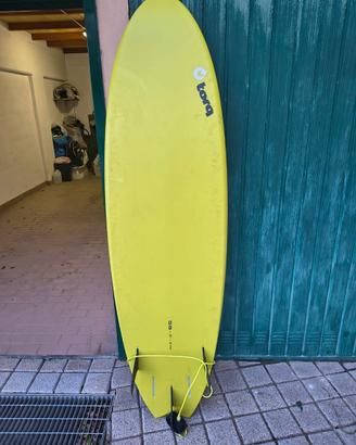 Tavola da surf Torq Fish 6'6"
