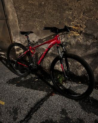 Bici koban brera 29’