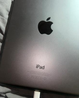 Ipad mini