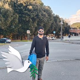 Lavapiatti