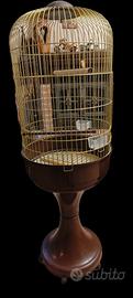 gabbia x pappagalli 