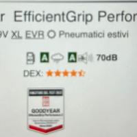 Gomme estivi al 100%