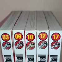 Dragonball Perfect Edition 17