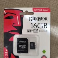 Micro SD  con adattatore SD  Kingston da 16 GB   
