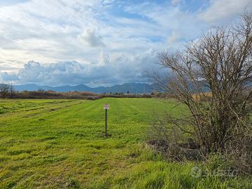 Terreno agricolo zona perito