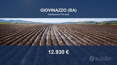 Immobile in asta di 12979 m² a Giovinazzo