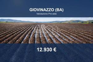 Immobile in asta di 12979 m² a Giovinazzo