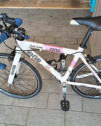bicicletta da corsa 20 pollici giro italia