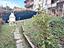 Immagine 20