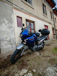 Honda transalp 650 2006