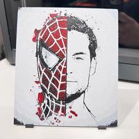 Spider man / tobey maguire in 3D