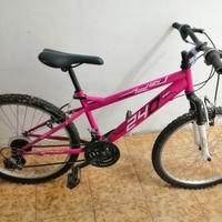 Bicicletta con marce